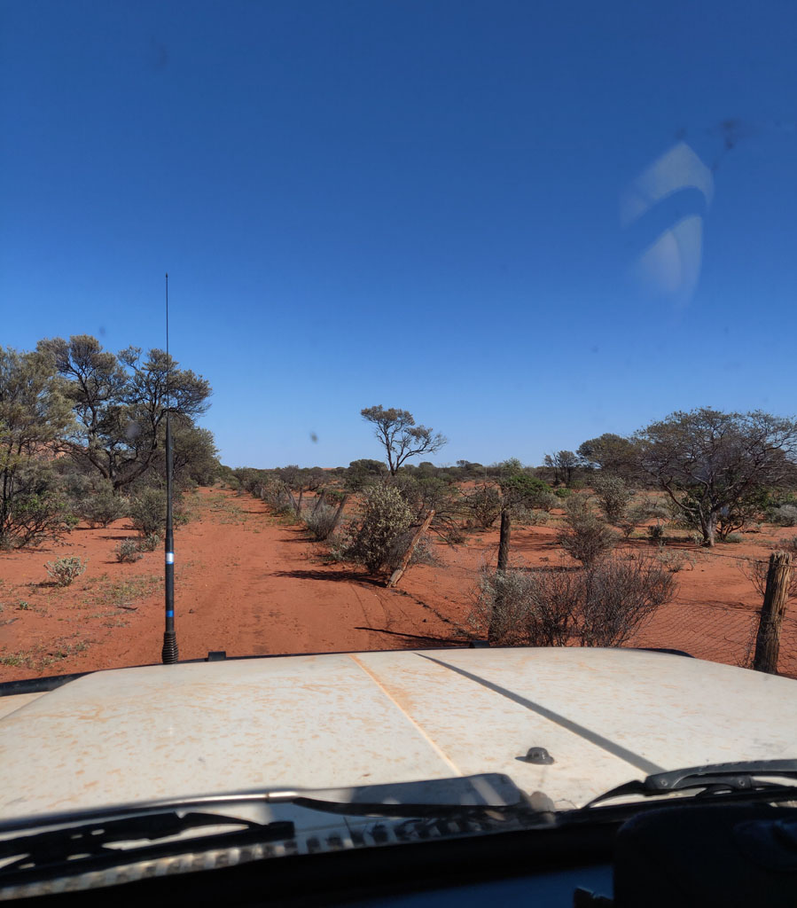 Old Vermin Proof Fence